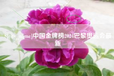 绥化中国金牌榜2024巴黎奥运会最新