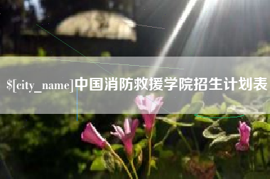 绥化中国消防救援学院招生计划表