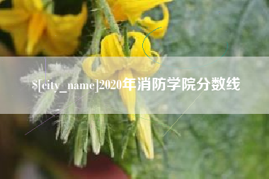 绥化2020年消防学院分数线