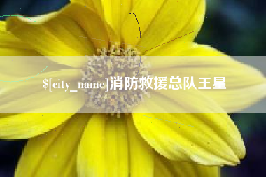 绥化消防救援总队王星
