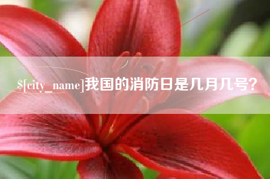 绥化我国的消防日是几月几号？