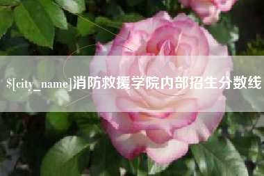 绥化消防救援学院内部招生分数线