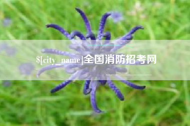 绥化全国消防招考网