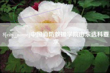 绥化中国消防救援学院山东选科要求
