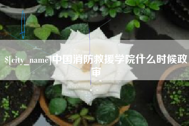 绥化中国消防救援学院什么时候政审