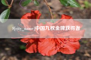 绥化中国九枚金牌获得者