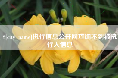 绥化执行信息公开网查询不到被执行人信息