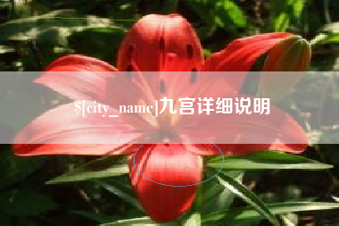 绥化九宫详细说明
