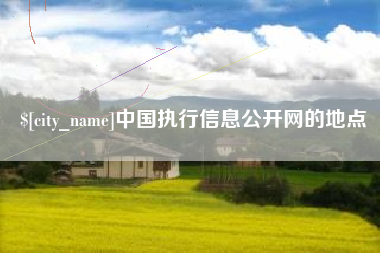绥化中国执行信息公开网的地点