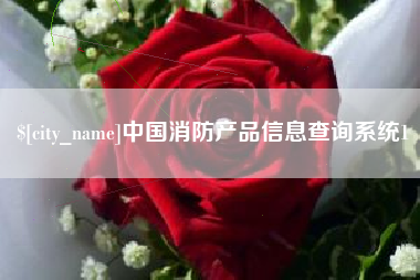 绥化中国消防产品信息查询系统1