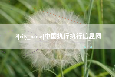 绥化中国执行执行信息网