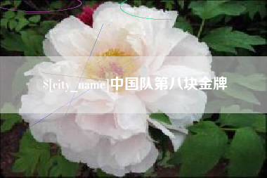 绥化中国队第八块金牌