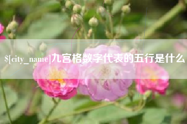 绥化九宫格数字代表的五行是什么