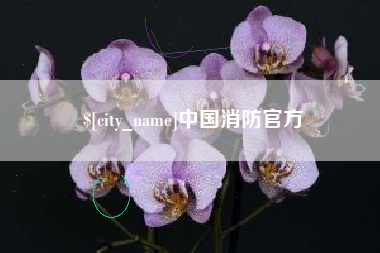 绥化中国消防官方