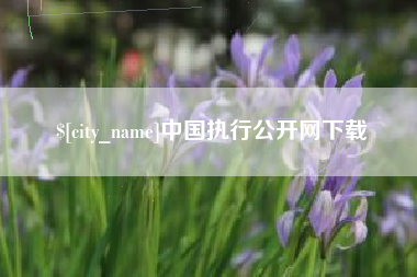 绥化中国执行公开网下载