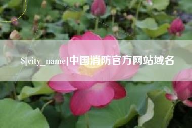绥化中国消防官方网站域名