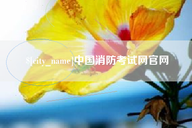 绥化中国消防考试网官网
