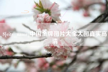 绥化中国金牌图片大全大图真实高清