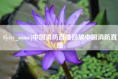 绥化中国消防直播回放中国消防直播