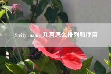 绥化九宫怎么排列和使用