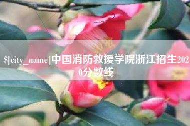 绥化中国消防救援学院浙江招生2020分数线