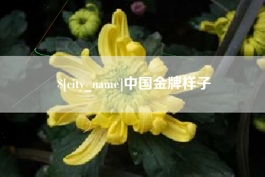 绥化中国金牌样子