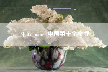 绥化中国第十个金牌