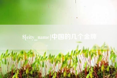 绥化中国的几个金牌