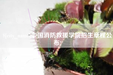 绥化中国消防救援学院招生章程公布!