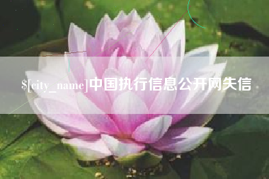 绥化中国执行信息公开网失信
