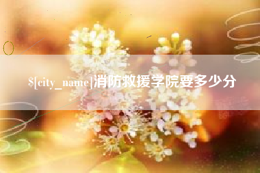 绥化消防救援学院要多少分
