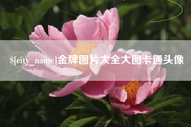 绥化金牌图片大全大图卡通头像