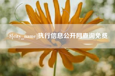 绥化执行信息公开网查询免费