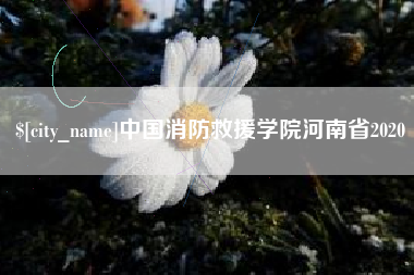 绥化中国消防救援学院河南省2020